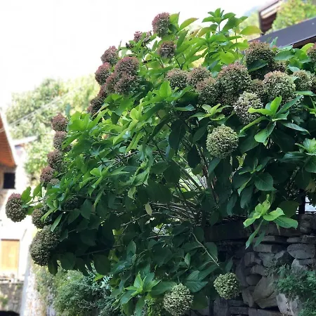 - Nido Di Rondine * Pognana Lario